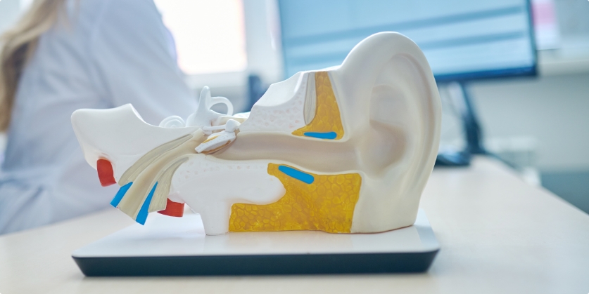 Huron Valley Hearing Blog